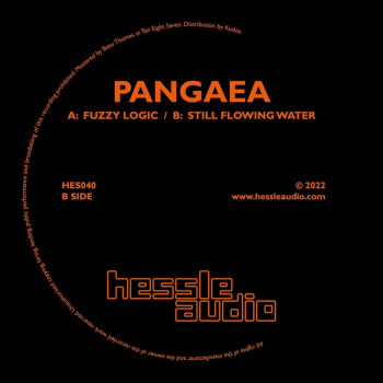 [HES040] Pangaea - Fuzzy...