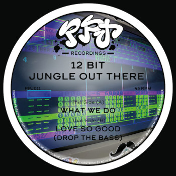 [PPJ011] 12 Bit Jungle Out...