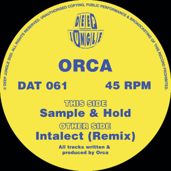 [DAT061] Orca - Intalect...