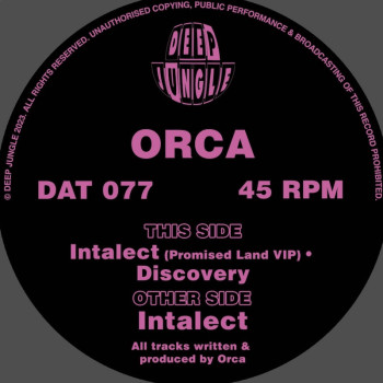 [DAT077] Orca - Intalect EP